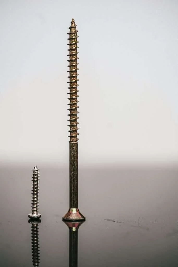 Screw